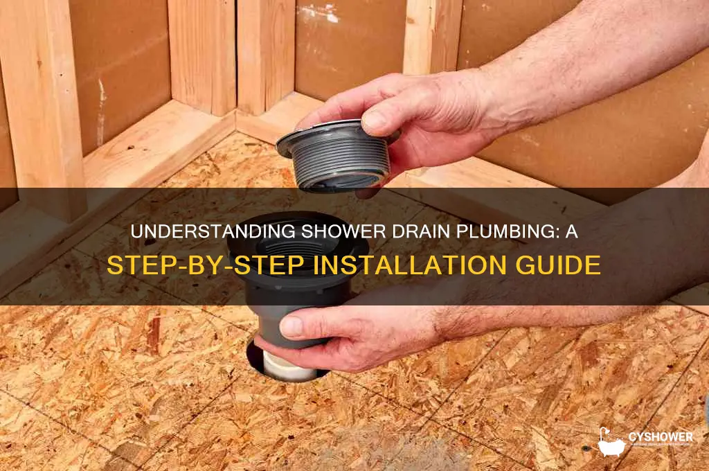how are shower drains plumbed