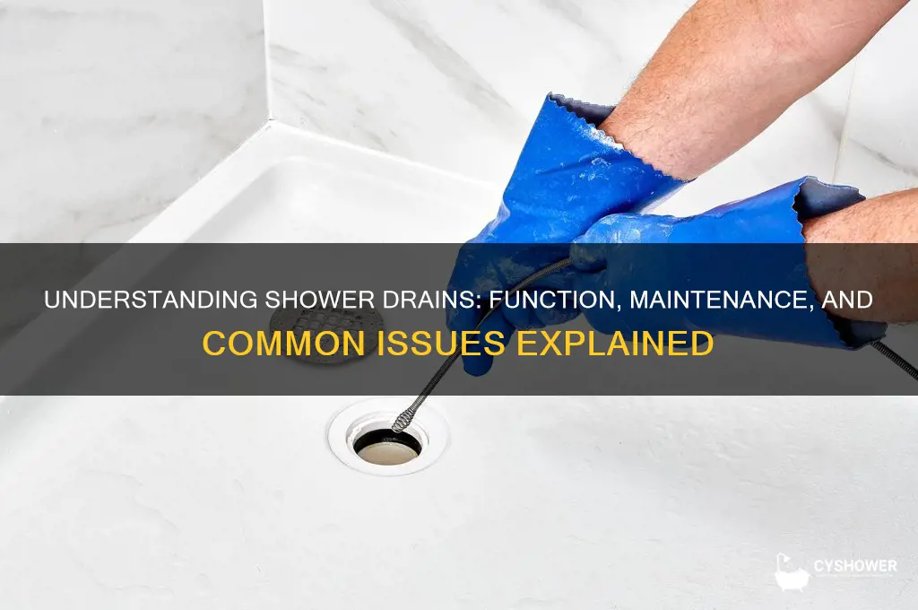 how are shower drains