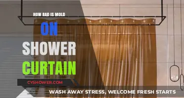 Mold on Shower Curtains: Health Risks and Effective Cleaning Solutions