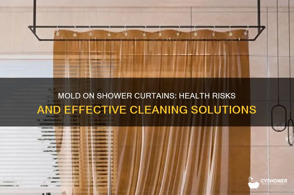 how bad is mold on shower curtain