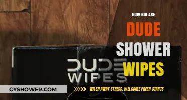 Exploring the Size and Effectiveness of Dude Shower Wipes