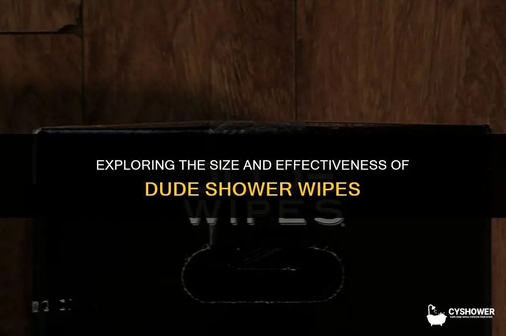 how big are dude shower wipes