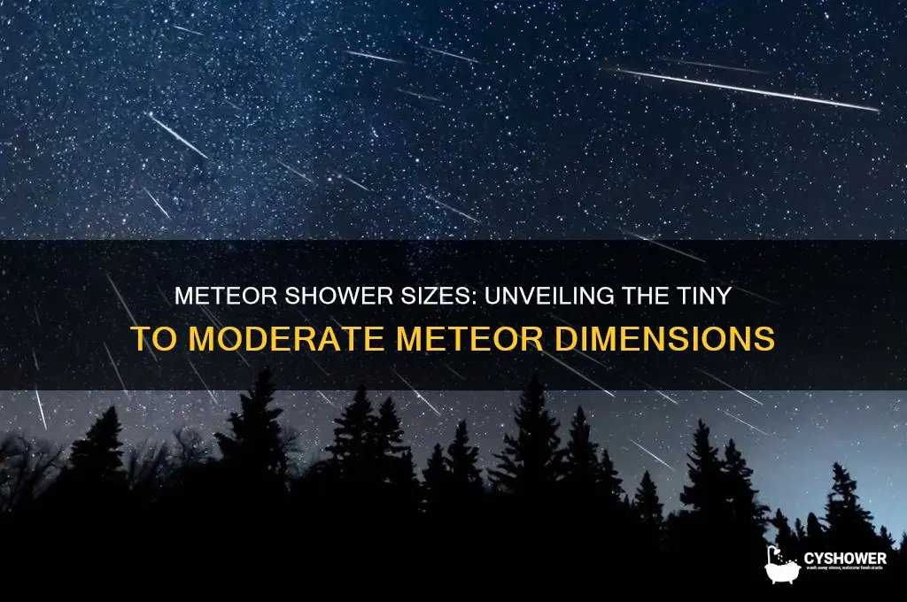 how big are meteors in a meteor shower
