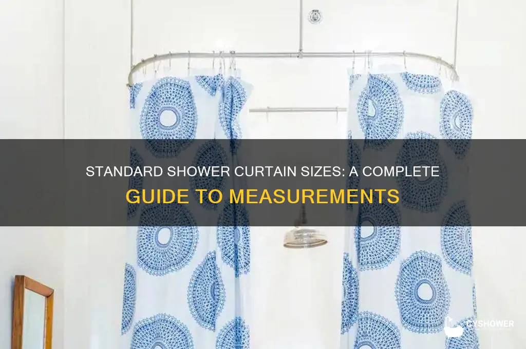 how big are shower curtains
