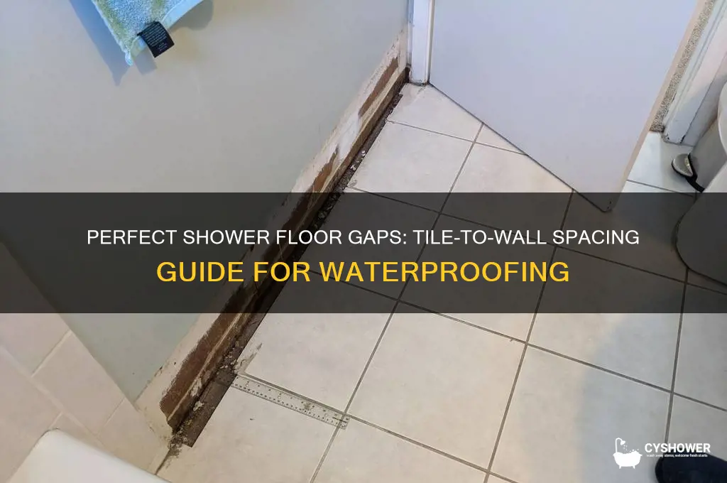 how big gap between tiles and wall for shower floor