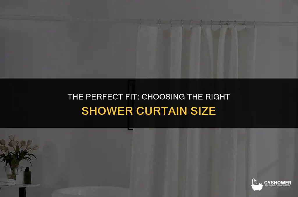 how big in an shower curtin