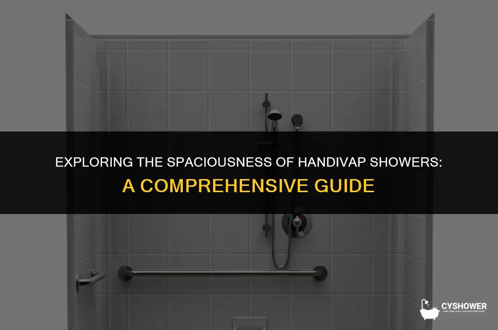 how big is a handivap shower