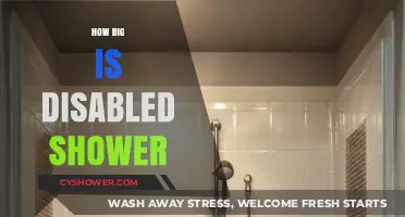 Exploring Accessibility: The Spaciousness of Disabled Showers