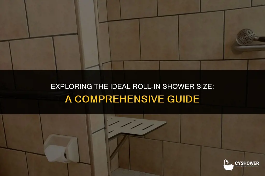 how big is roll in shower