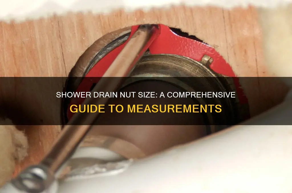 how big is the nut on my shower drain