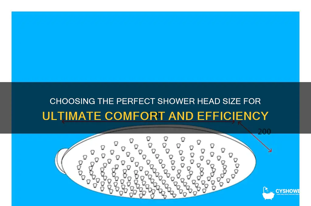 how big shower head
