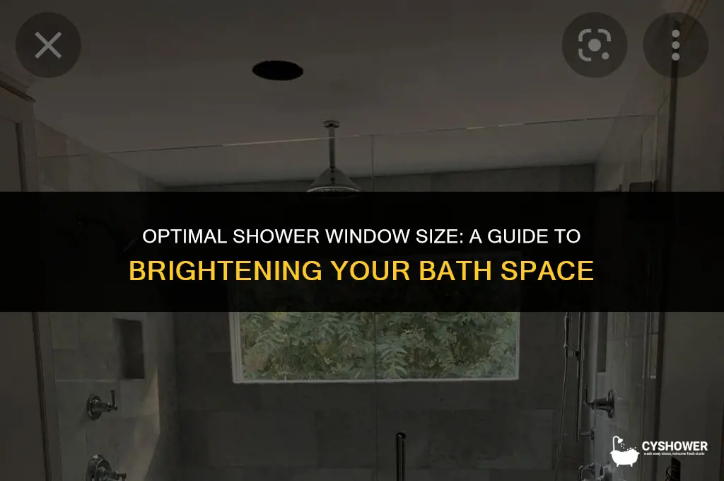 how big window for shower