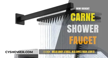 How I Found the Perfect Carne Shower Faucet: A Buyer's Guide