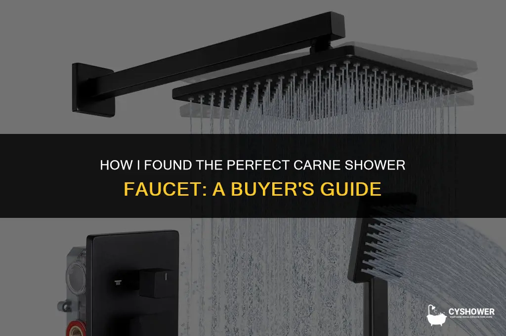 how bought carne shower faucet