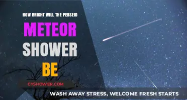Perseid Meteor Shower 2023: Predicting Its Brilliance in the Night Sky