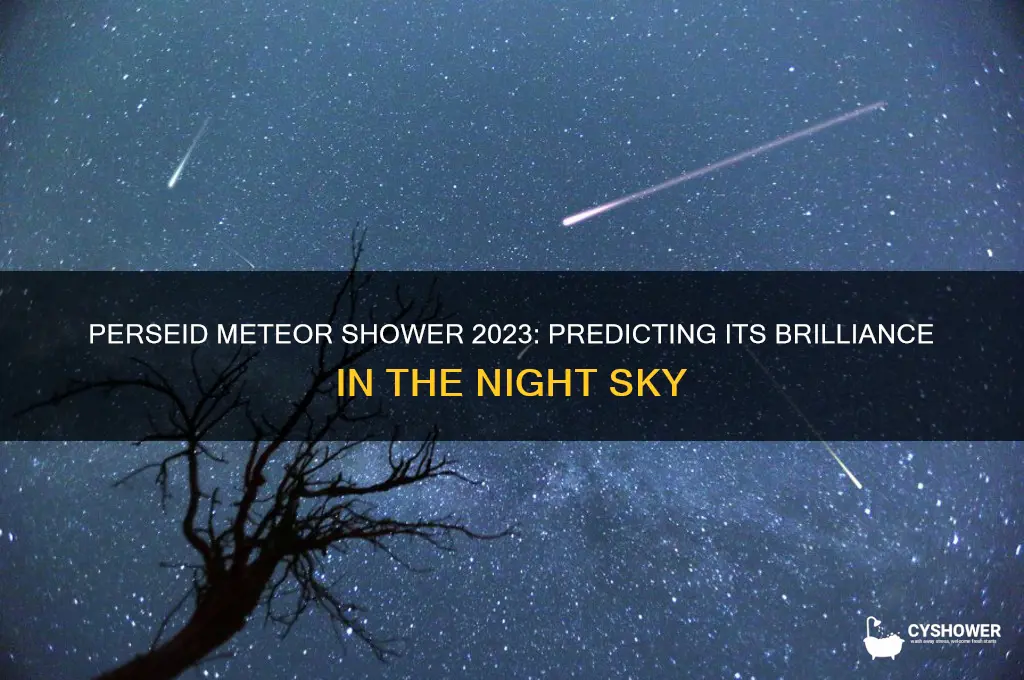 how bright will the perseid meteor shower be
