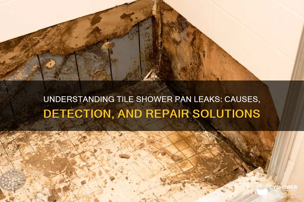 how can a tile shower pan leak