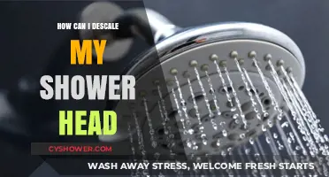Effective Ways to Descale Your Shower Head and Restore Water Flow