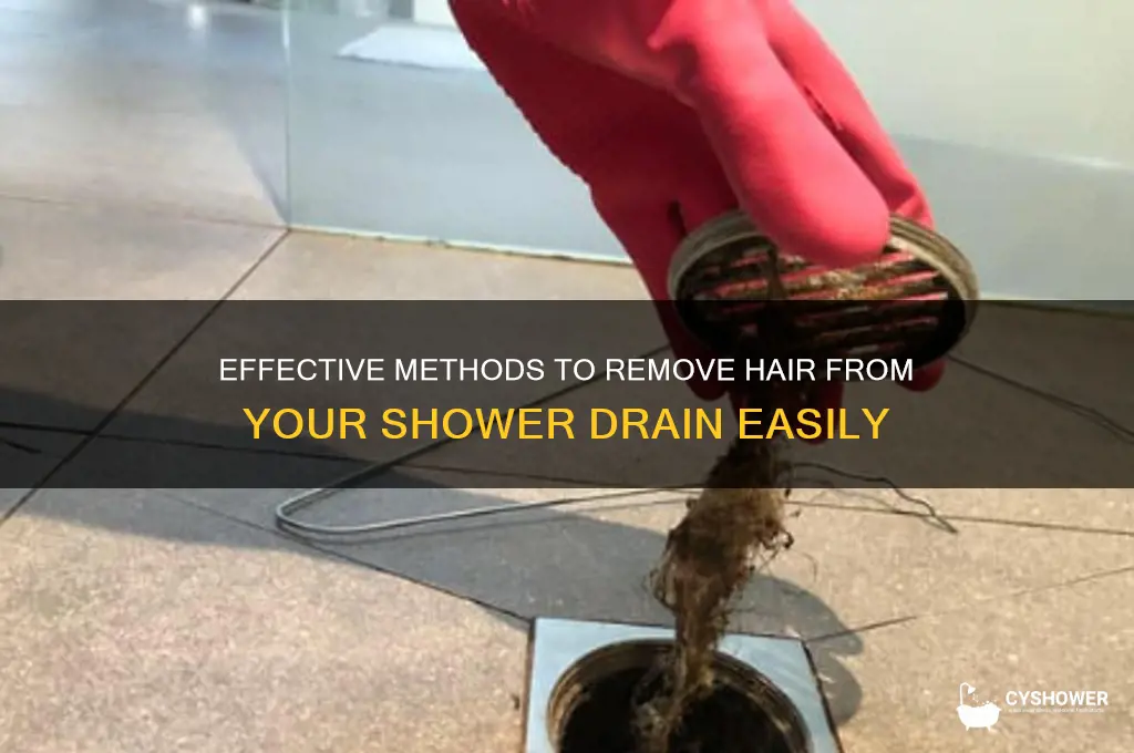 how can i get hair out of my shower drain