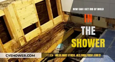 Effective Ways to Eliminate Mold in Your Shower Permanently
