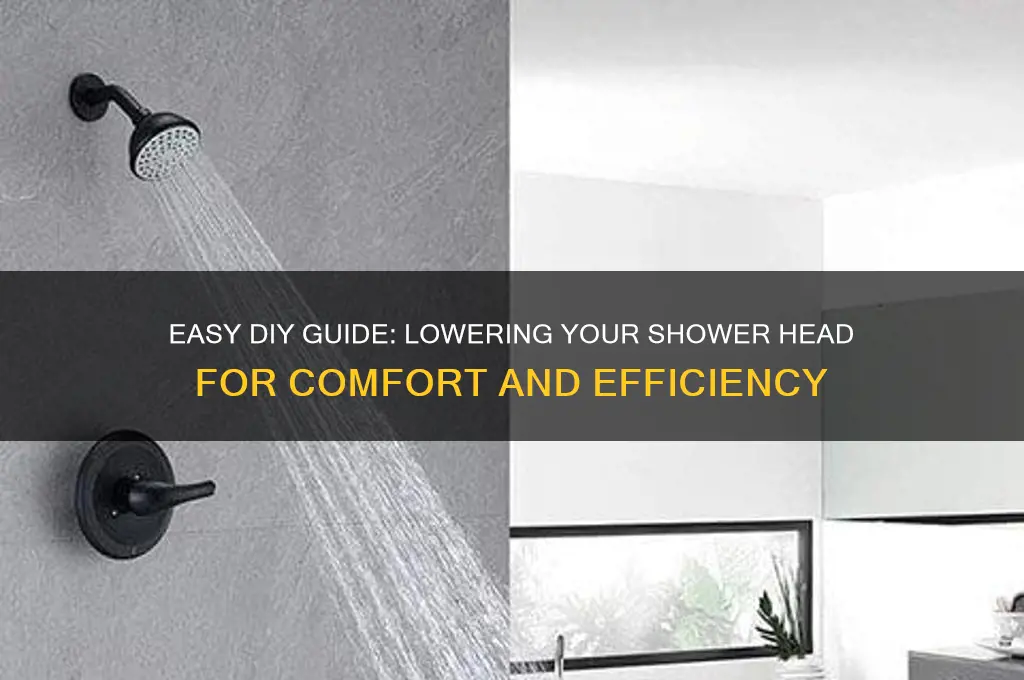 how can i lower my shower head