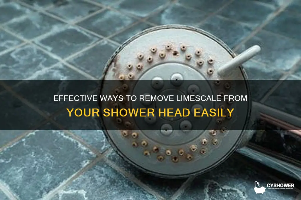 how can i remove limescale from my shower head