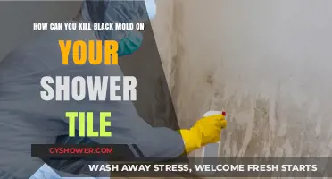 Effective Ways to Eliminate Black Mold on Shower Tiles Permanently