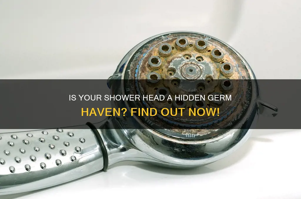 how clean is your house shower head