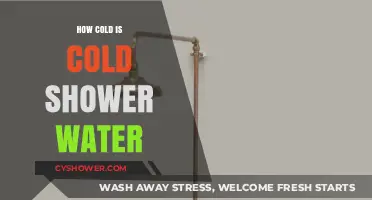 Chilling Truth: How Cold is Cold Shower Water Really?
