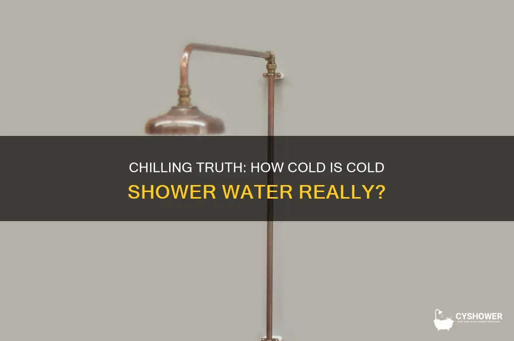 how cold is cold shower water