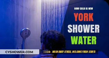 Chilling Truth: New York's Shower Water Temperature Explained