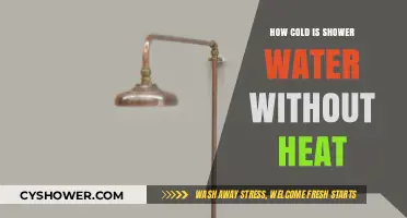 Chilling Truth: How Cold is Shower Water Without Heat?