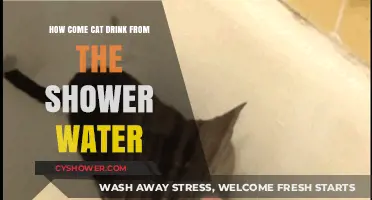 Why Cats Love Drinking from Shower Water: Uncovering the Feline Fascination