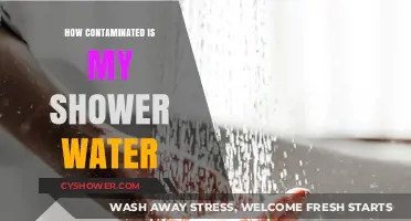 Is Your Shower Water Safe? Uncovering Hidden Contaminants and Risks