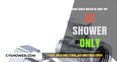 Shower Water Shut Off: Troubleshooting and Fixing the Issue
