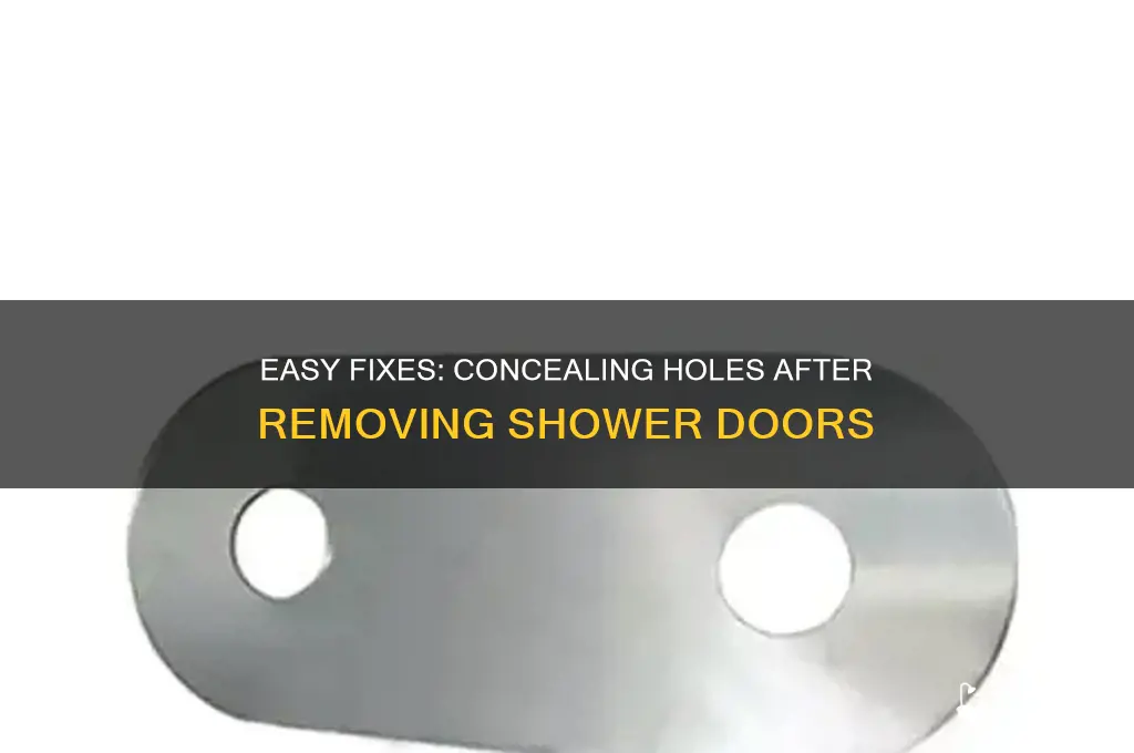 how cover holes from removing of shower doors