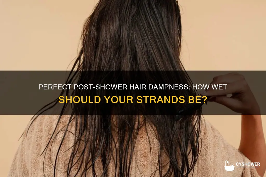 how damp should my hair be after shower