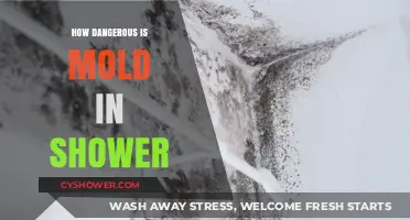 The Hidden Menace: Understanding the Risks of Shower Mold
