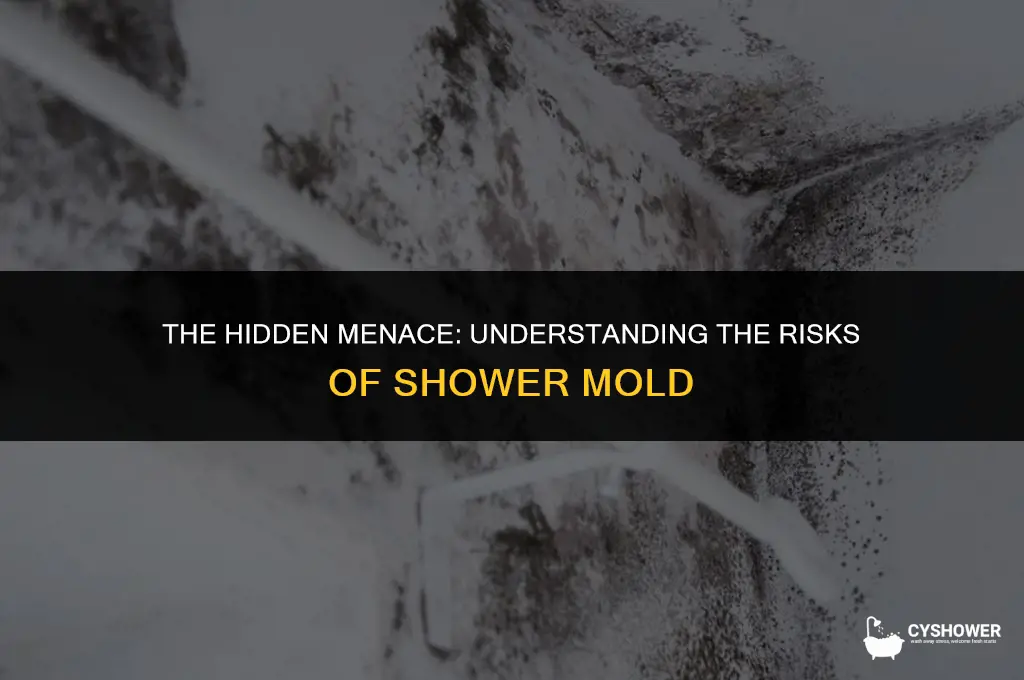 how dangerous is mold in shower