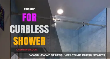 Exploring the Depths: A Guide to Curbless Shower Design