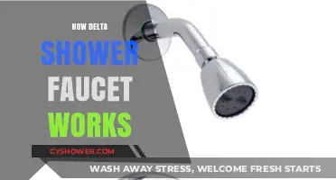 Exploring the Inner Workings of Delta Shower Faucets