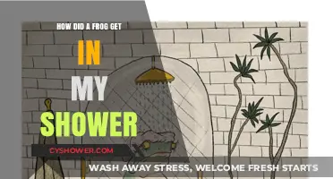Unexpected Shower Guest: How a Frog Found Its Way Inside