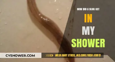 Unwanted Shower Guest: How a Slug Snuck into My Bathroom