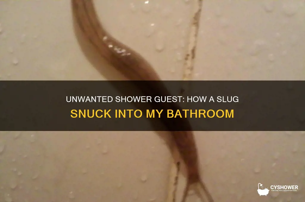how did a slug get in my shower