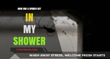 Why Spiders Invade Showers: Uncovering the Surprising Reasons Behind the Creepy Crawlers