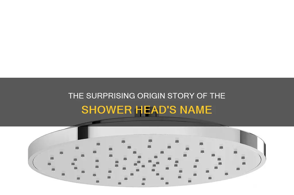 how did shower head gets its name