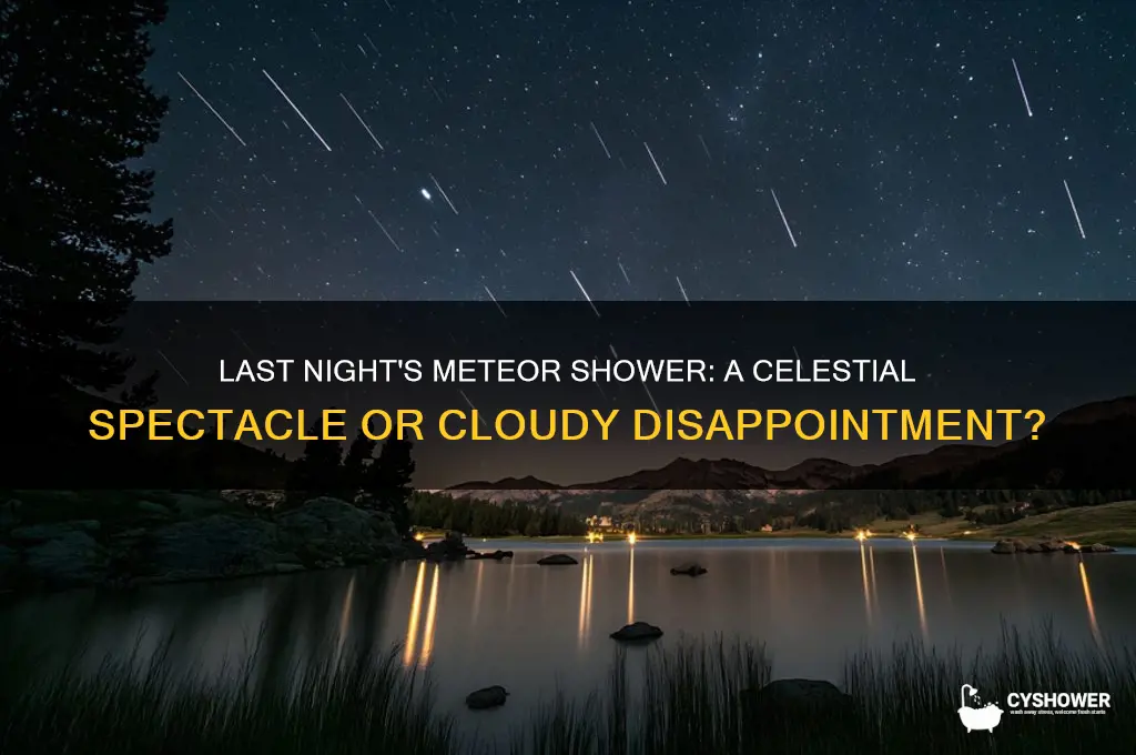how did the meteor shower go last night