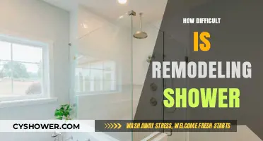 Exploring the Challenges of Remodeling Your Shower Space
