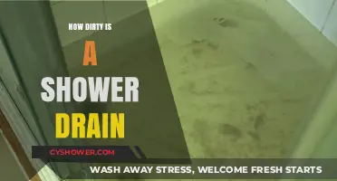 Unseen Grime: The Shocking Truth About Your Shower Drain's Dirt