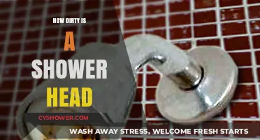 Shocking Truth: How Dirty Is Your Shower Head?